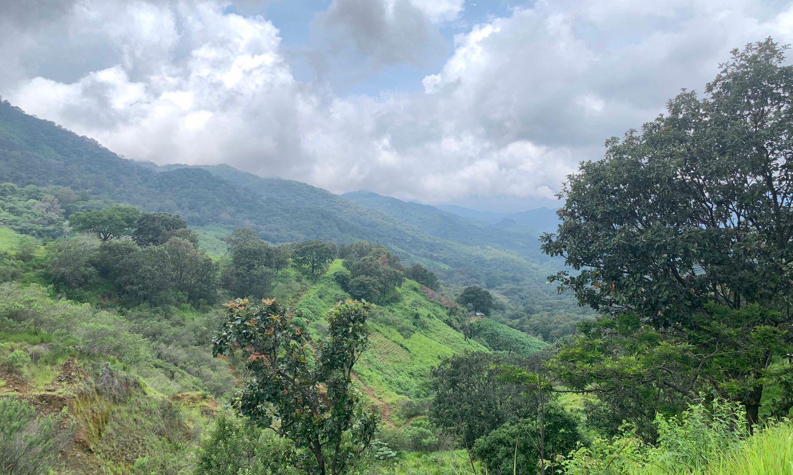 $!Vista de la Sierra de Manantlán.