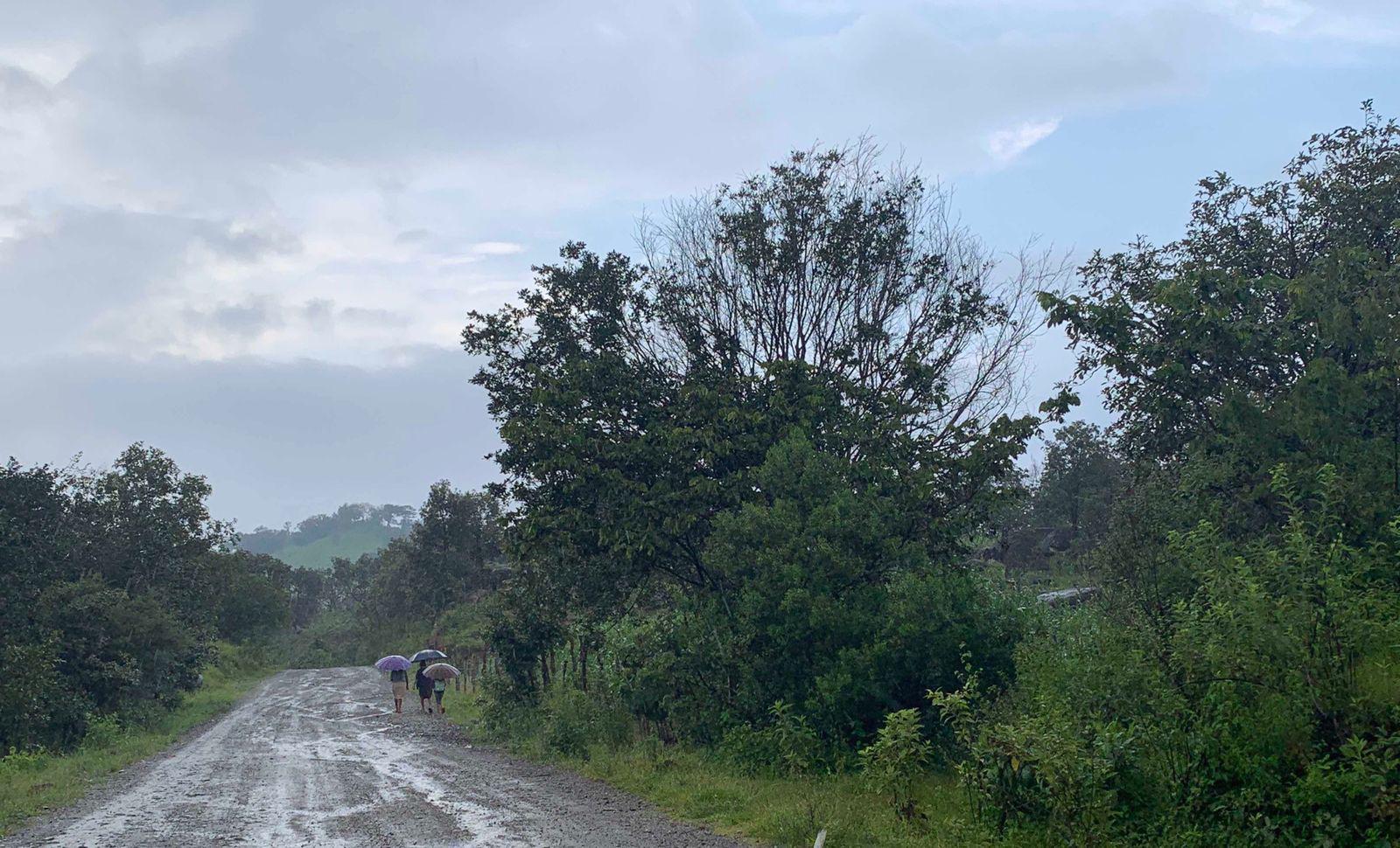 $!Uno de los caminos de la Sierra de Manantlán.
