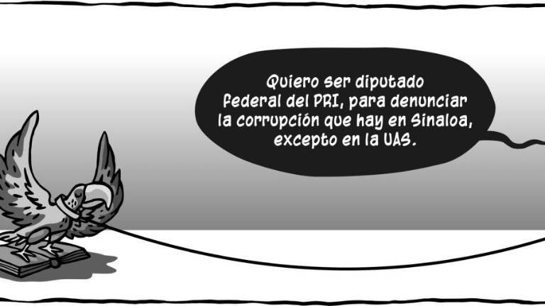 Hacia la cúspide pluri