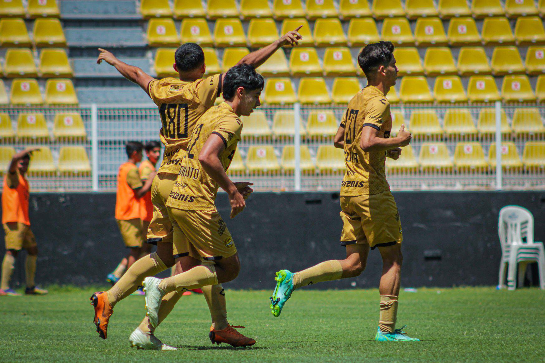 $!Dorados de Sinaloa se medirá a Leones Negros en los cuartos de final de la TDP
