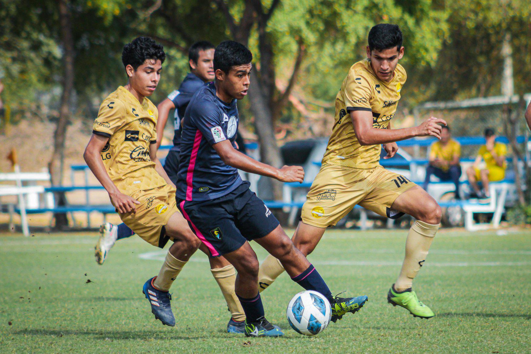 $!Dorados de Sinaloa golea en casa a Puerto Vallarta