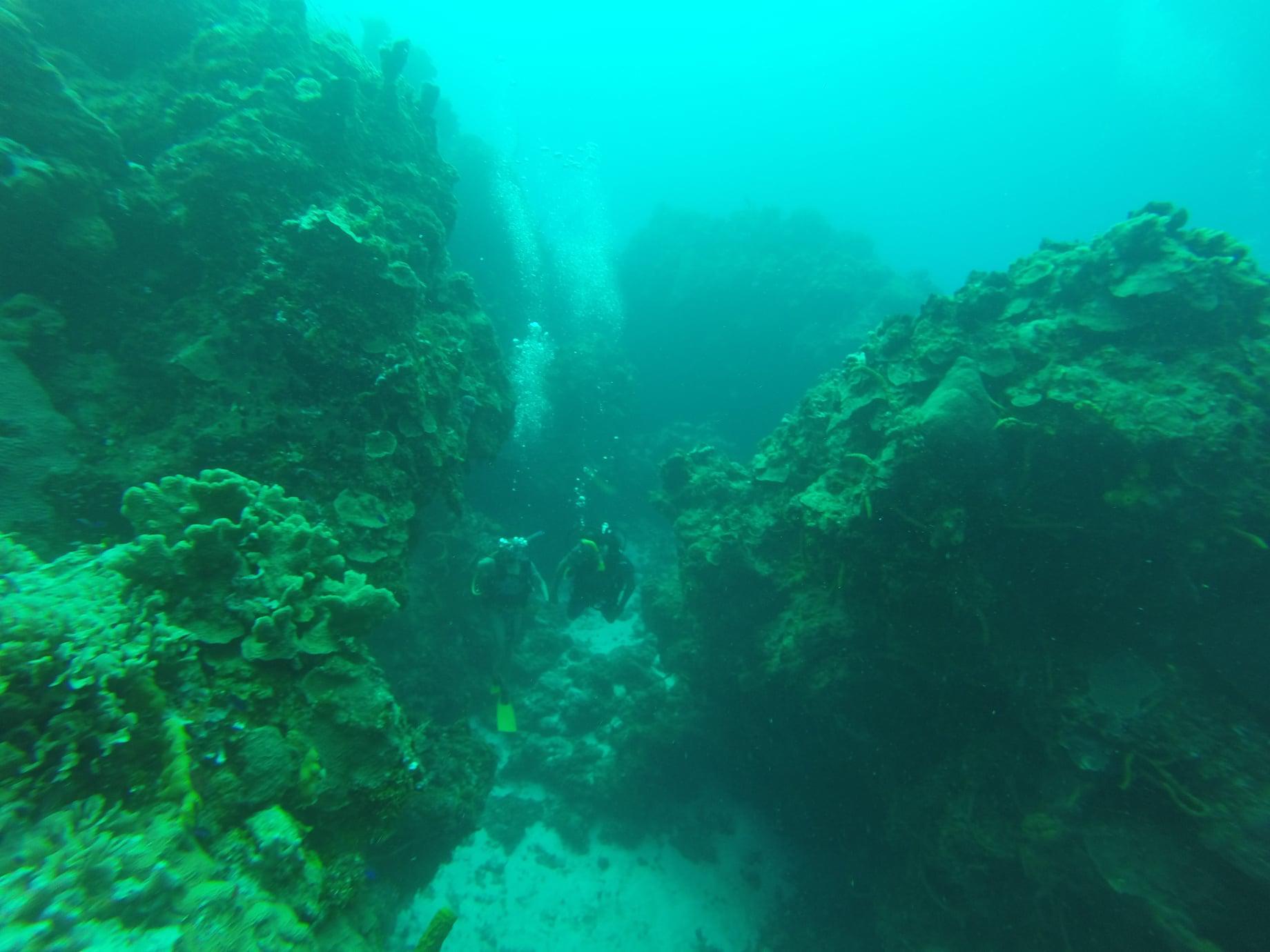 $!Juan Jacobo Schmitter en Palancar, Cozumel, Quintana Roo, 2015. Hábitat invadido por pez león (Pterois volitans).