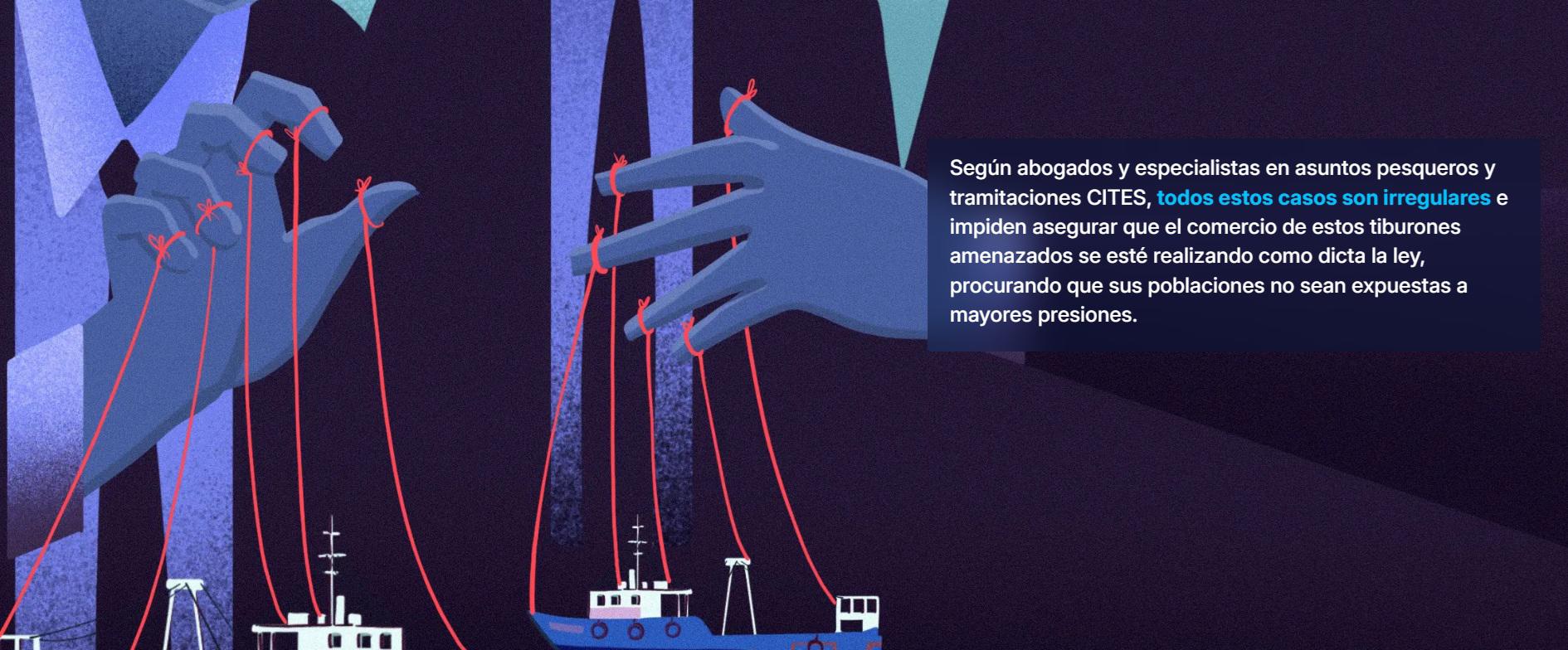 $!Deficiente fiscalización de autoridades peruanas facilita transporte irregular de más de 1500 toneladas de tiburones protegidos