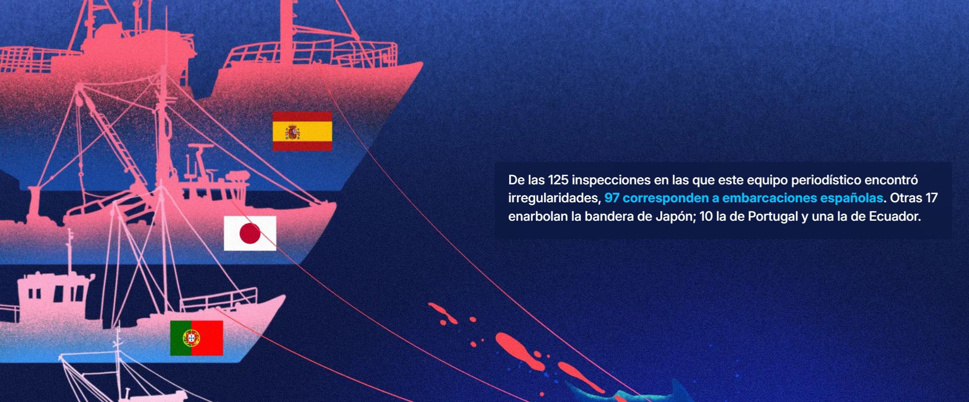 $!Deficiente fiscalización de autoridades peruanas facilita transporte irregular de más de 1500 toneladas de tiburones protegidos