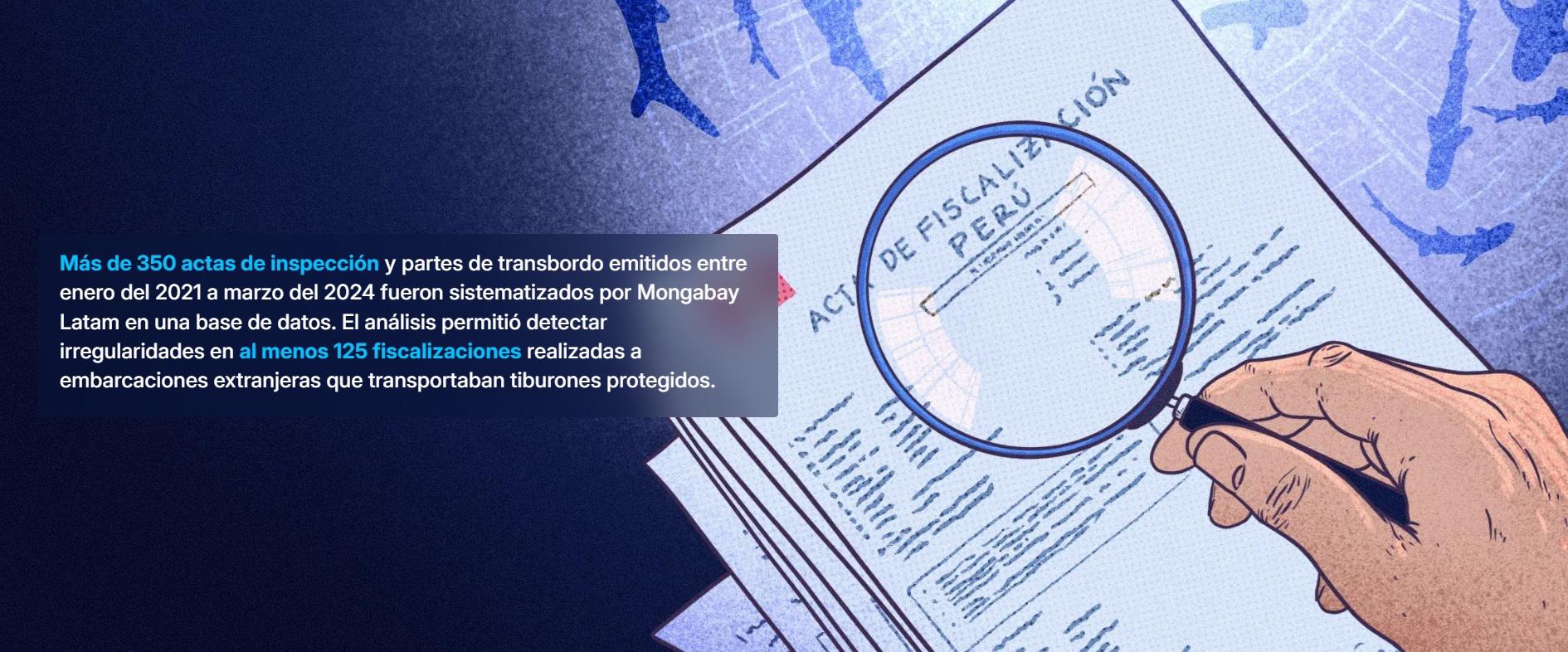 $!Deficiente fiscalización de autoridades peruanas facilita transporte irregular de más de 1500 toneladas de tiburones protegidos