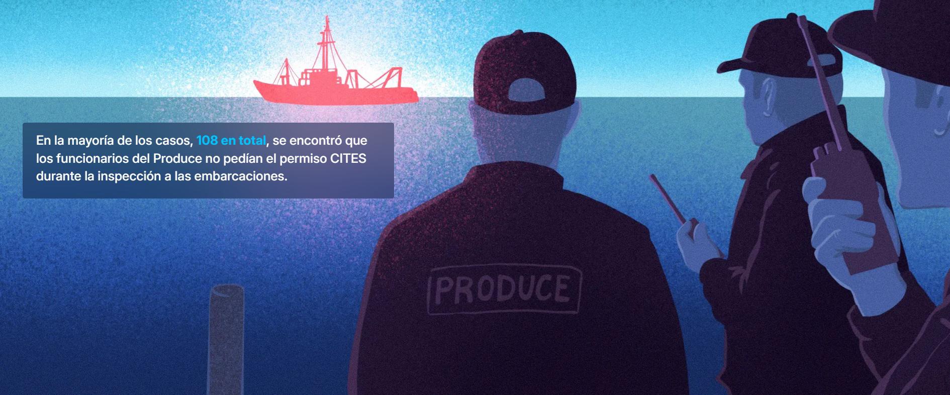 $!Deficiente fiscalización de autoridades peruanas facilita transporte irregular de más de 1500 toneladas de tiburones protegidos