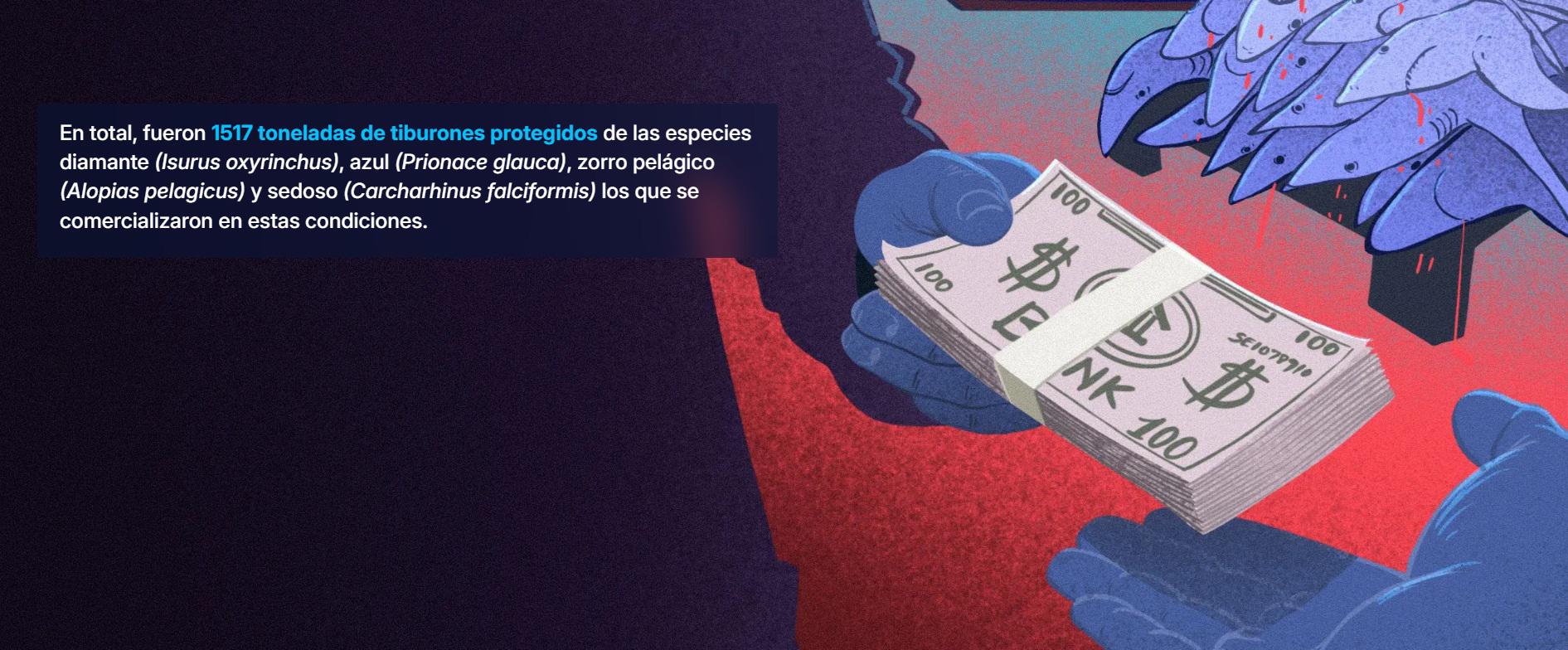 $!Deficiente fiscalización de autoridades peruanas facilita transporte irregular de más de 1500 toneladas de tiburones protegidos