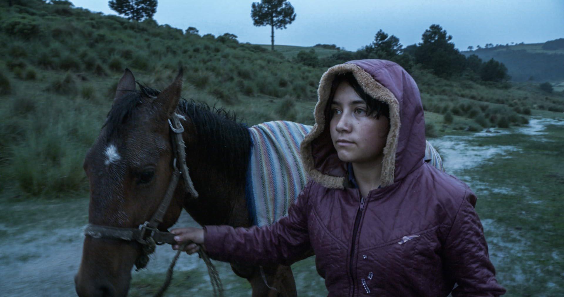 $!El Eco, de Tatiana Huezo, obtuvo siete premios en el año.