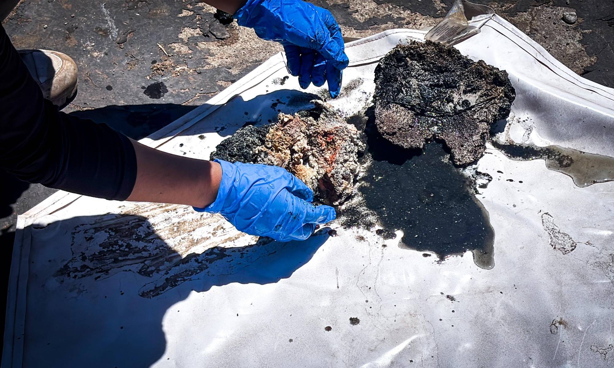 $!Por cuarto día consecutivo, Sabuesos Guerreras halla restos humanos en planta tratadora de Tacuichamona