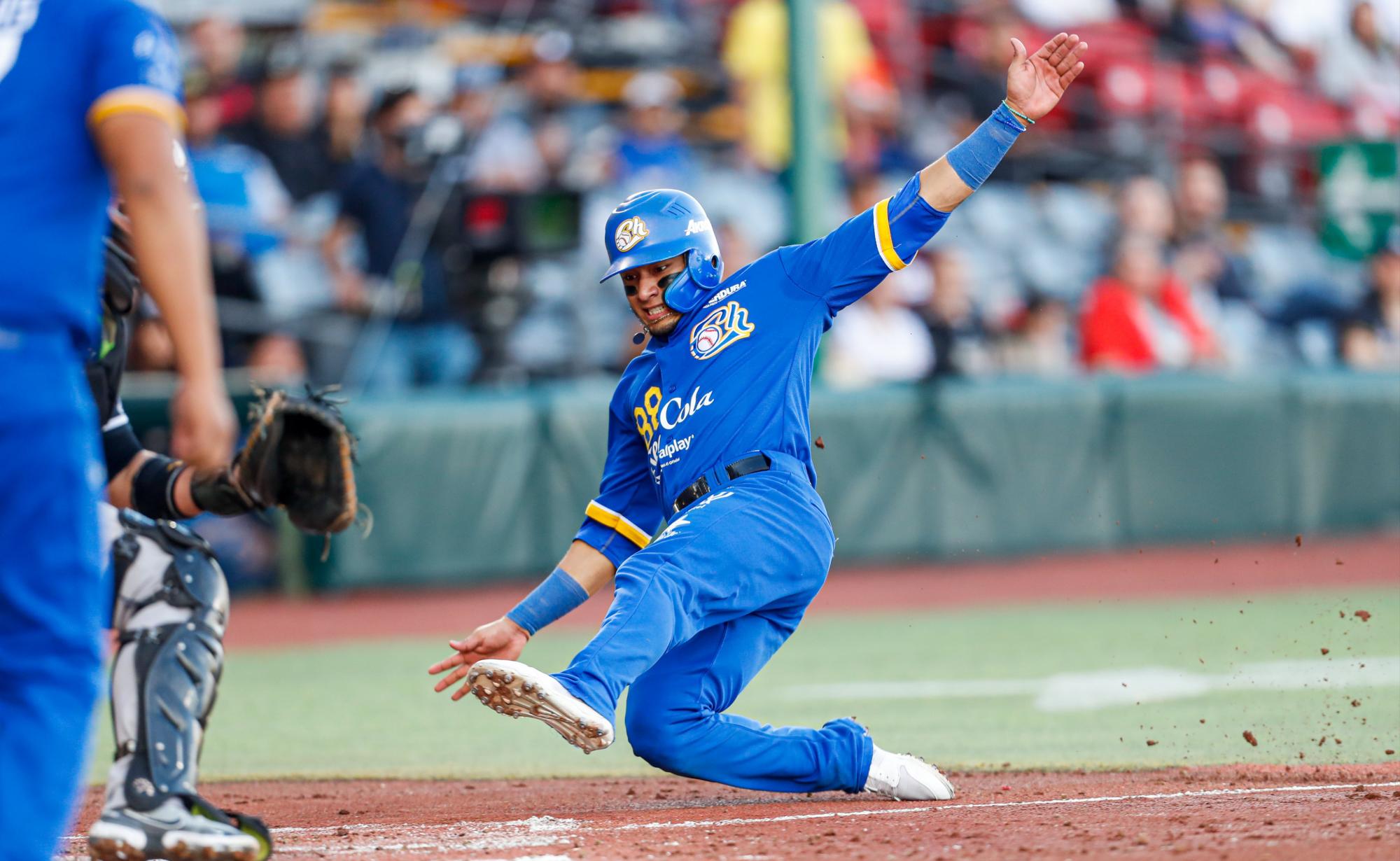 $!Tomateros complica su pase a los playoffs de la Temporada 2022-2023