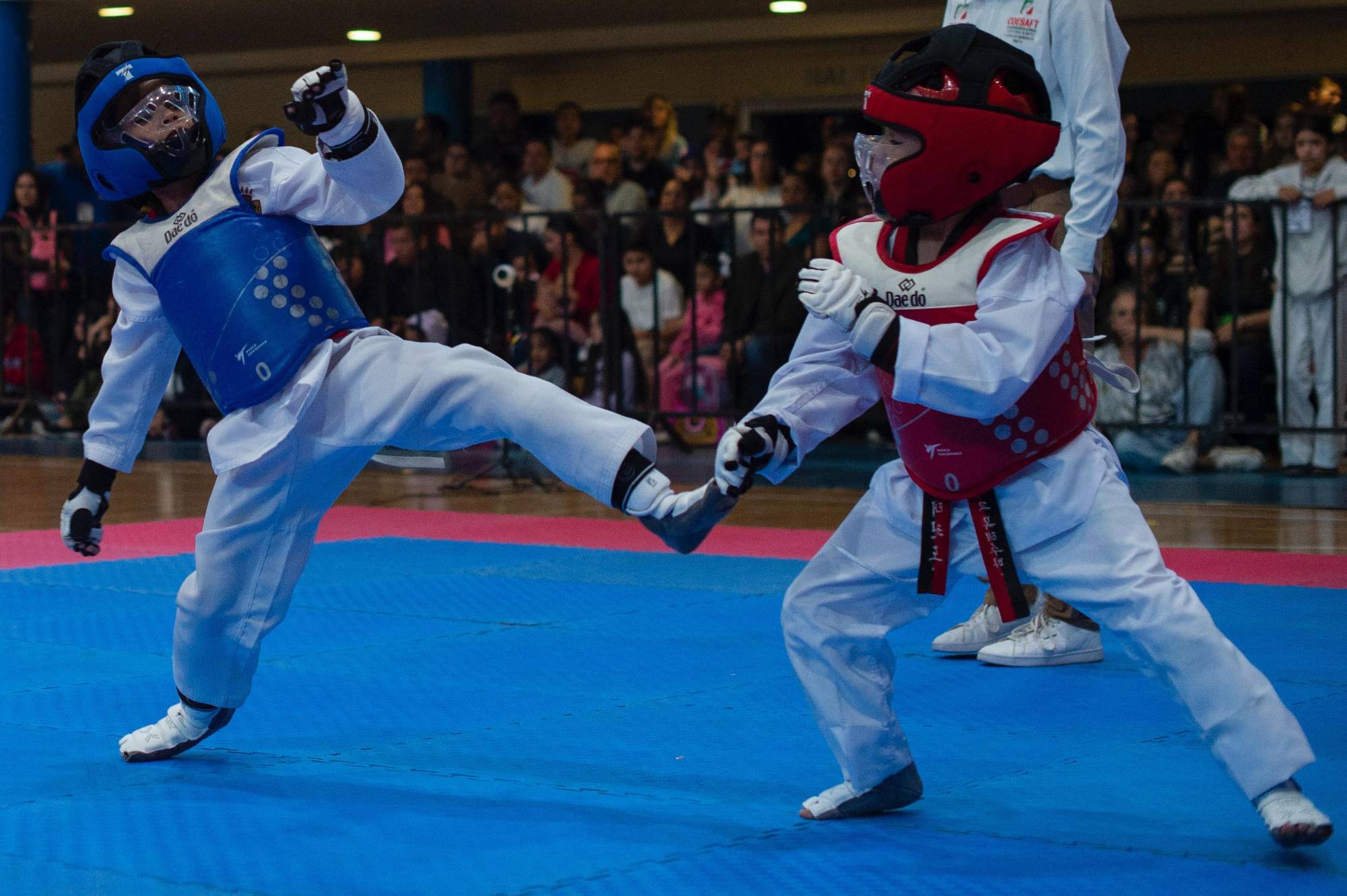 $!Domina Guasave el taekwondo en los estatales