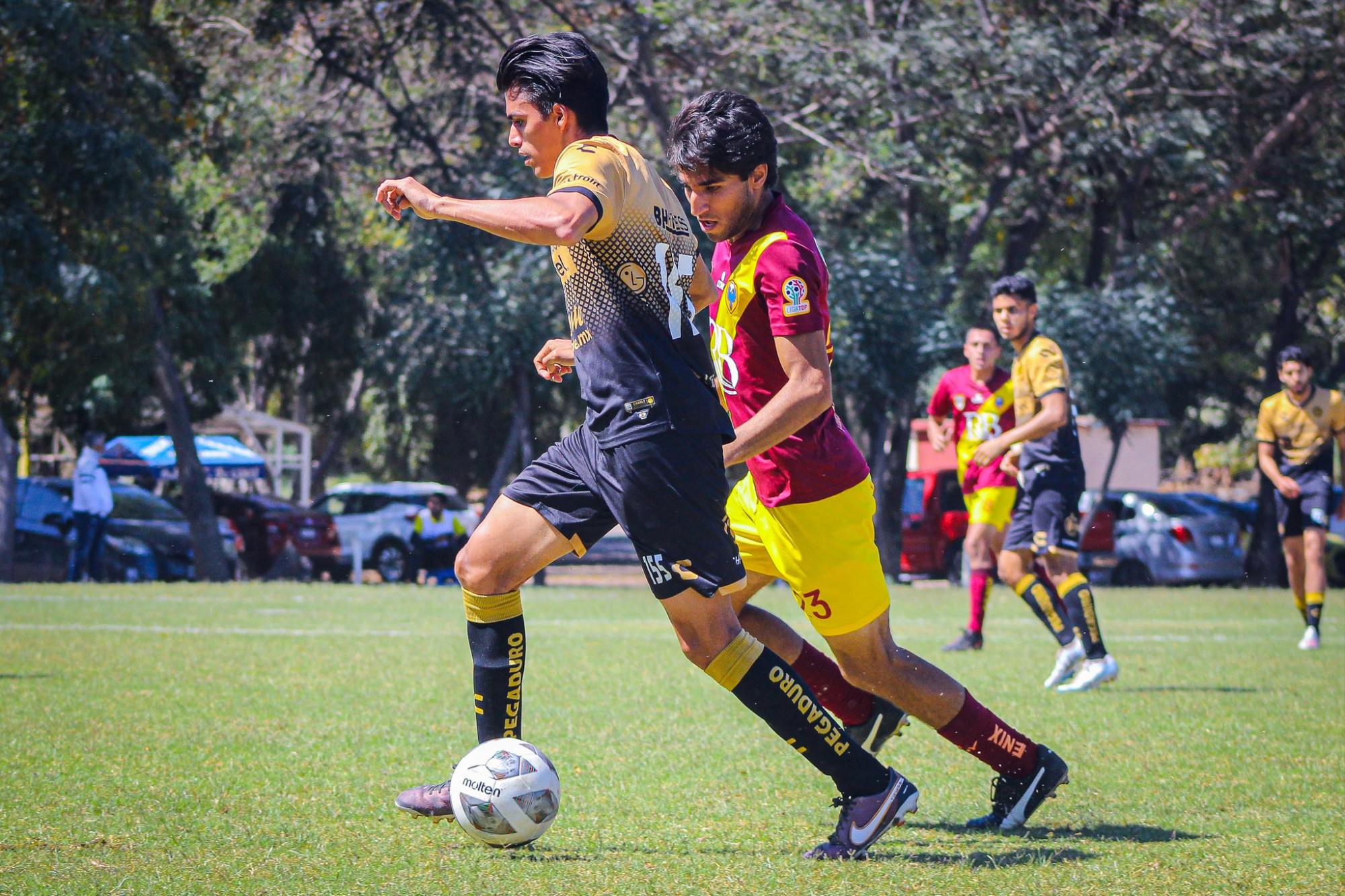 $!Dorados y FuraMochis FC, listos para la Liguilla sin ascenso de la TDP