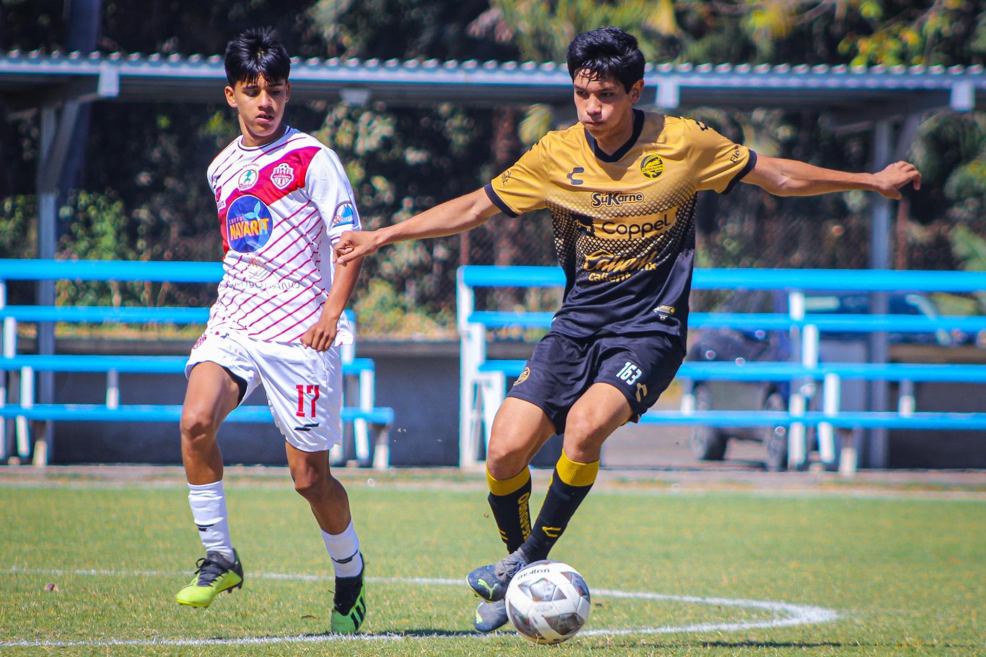 $!Goleada de Dorados para tomar la cima del Grupo 15 de la TDP