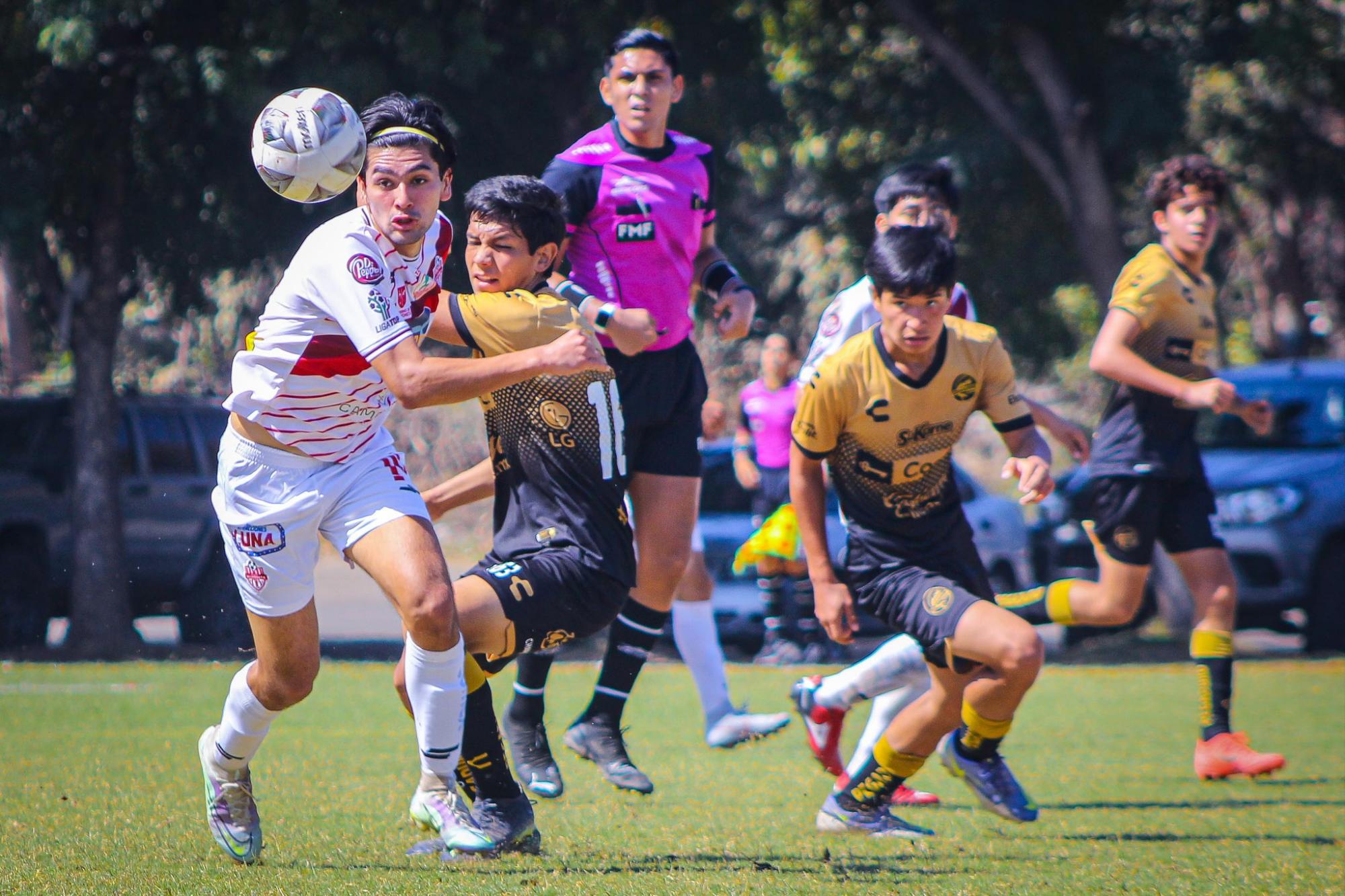 $!Goleada de Dorados para tomar la cima del Grupo 15 de la TDP