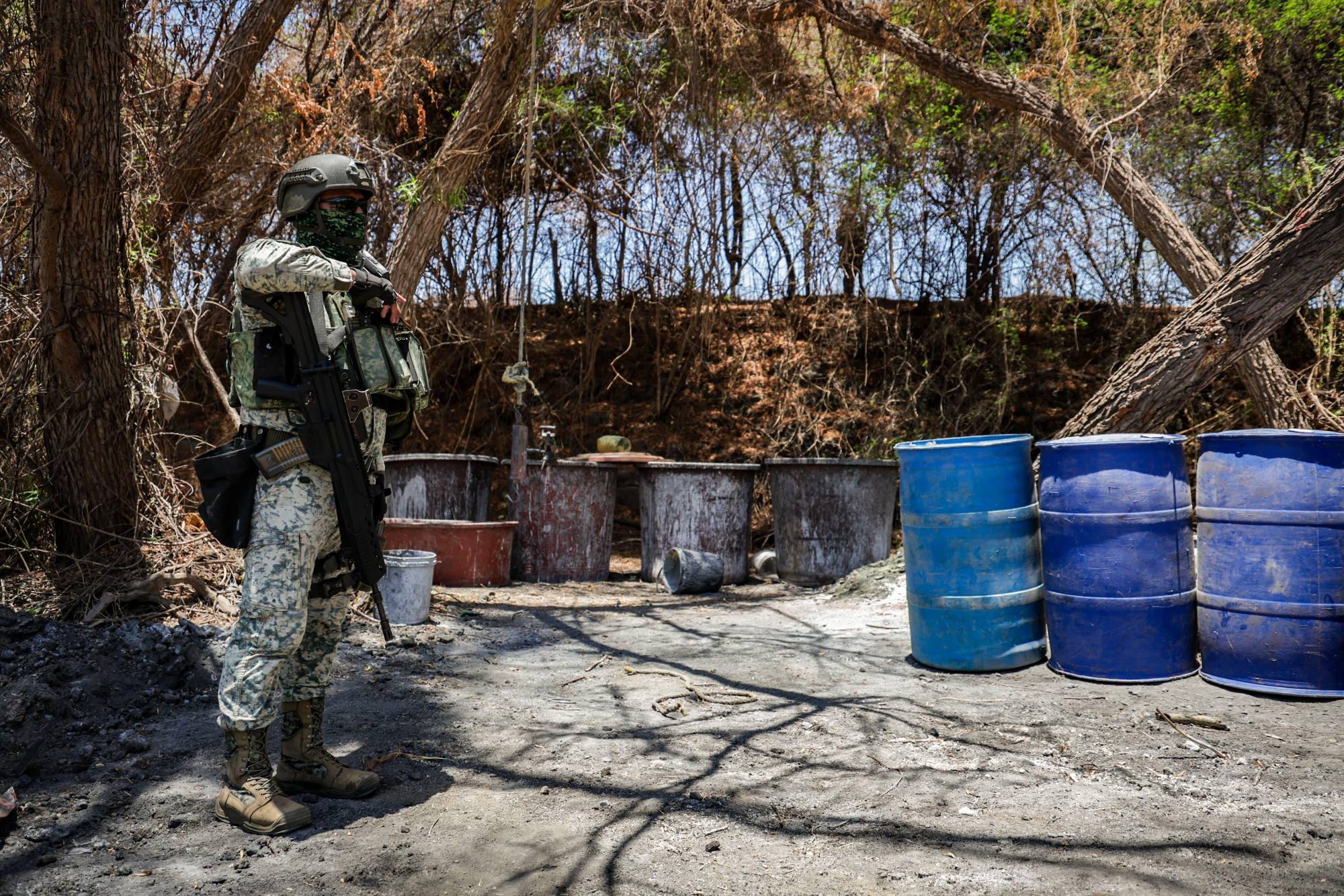 $!Entre el canto de la naturaleza se cocina la droga de Sinaloa