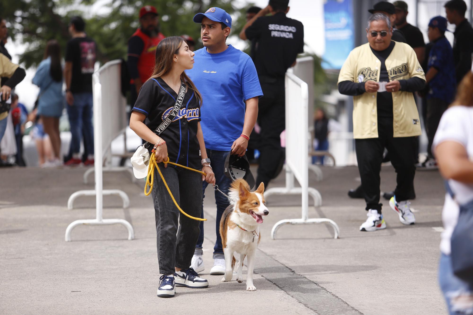 $!Mayos da la voltereta y se queda con la serie en Jalisco
