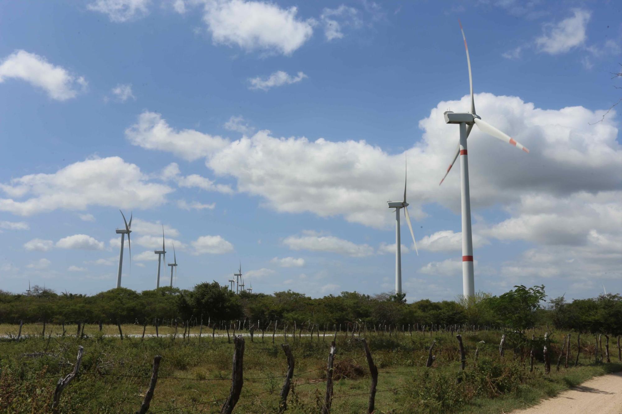 $!En el Istmo de Tehuantepec, los aerogeneradores se impusieron en el paisaje.