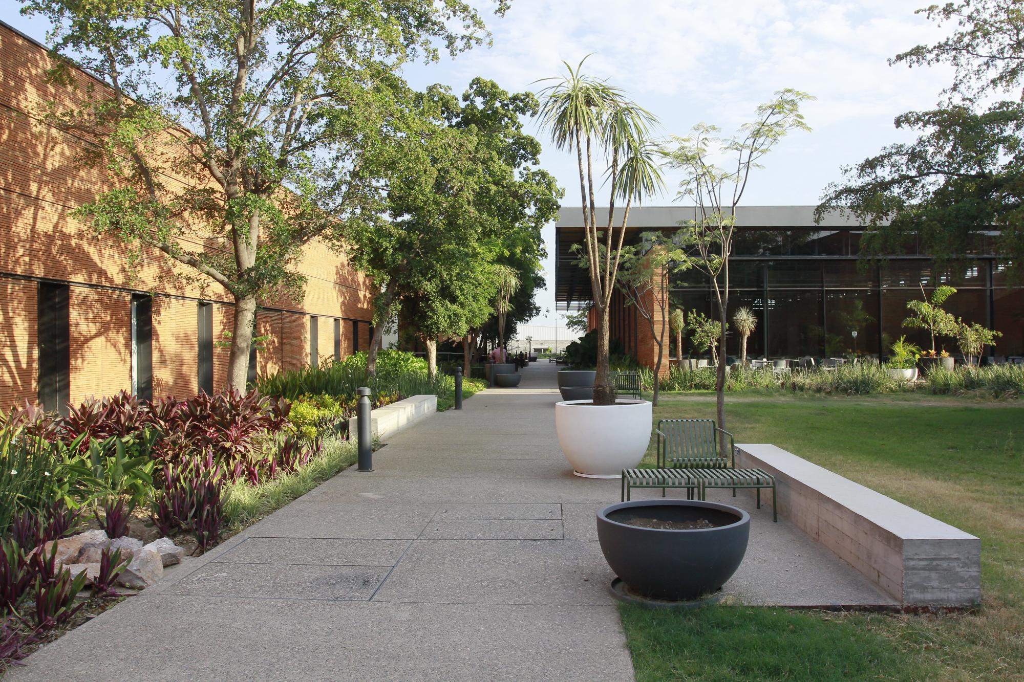 $!Campus Digital Coppel: una apuesta por la innovación, la colaboración y el talento