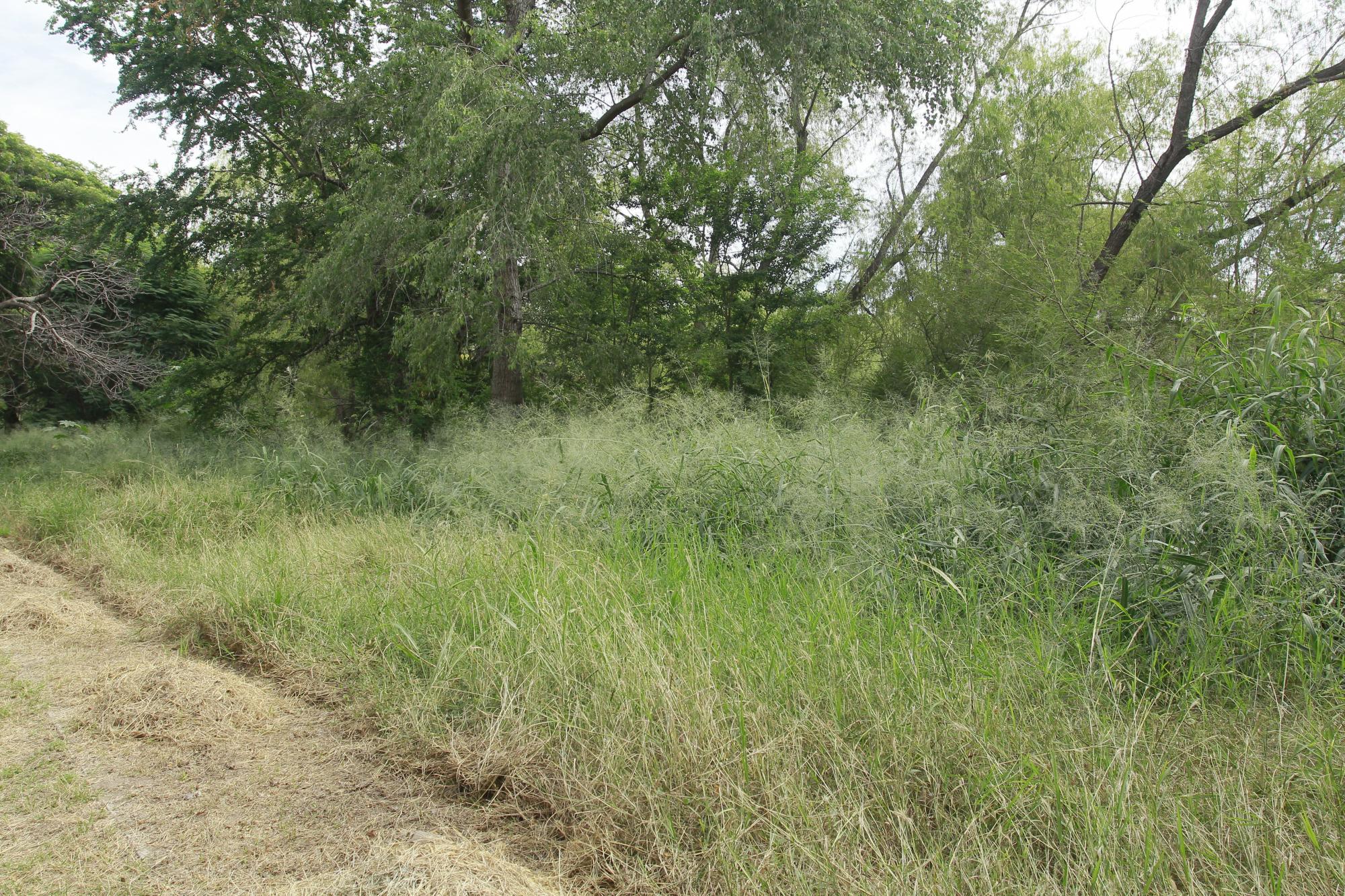 $!Denuncian mal estado del Parque Las Riberas