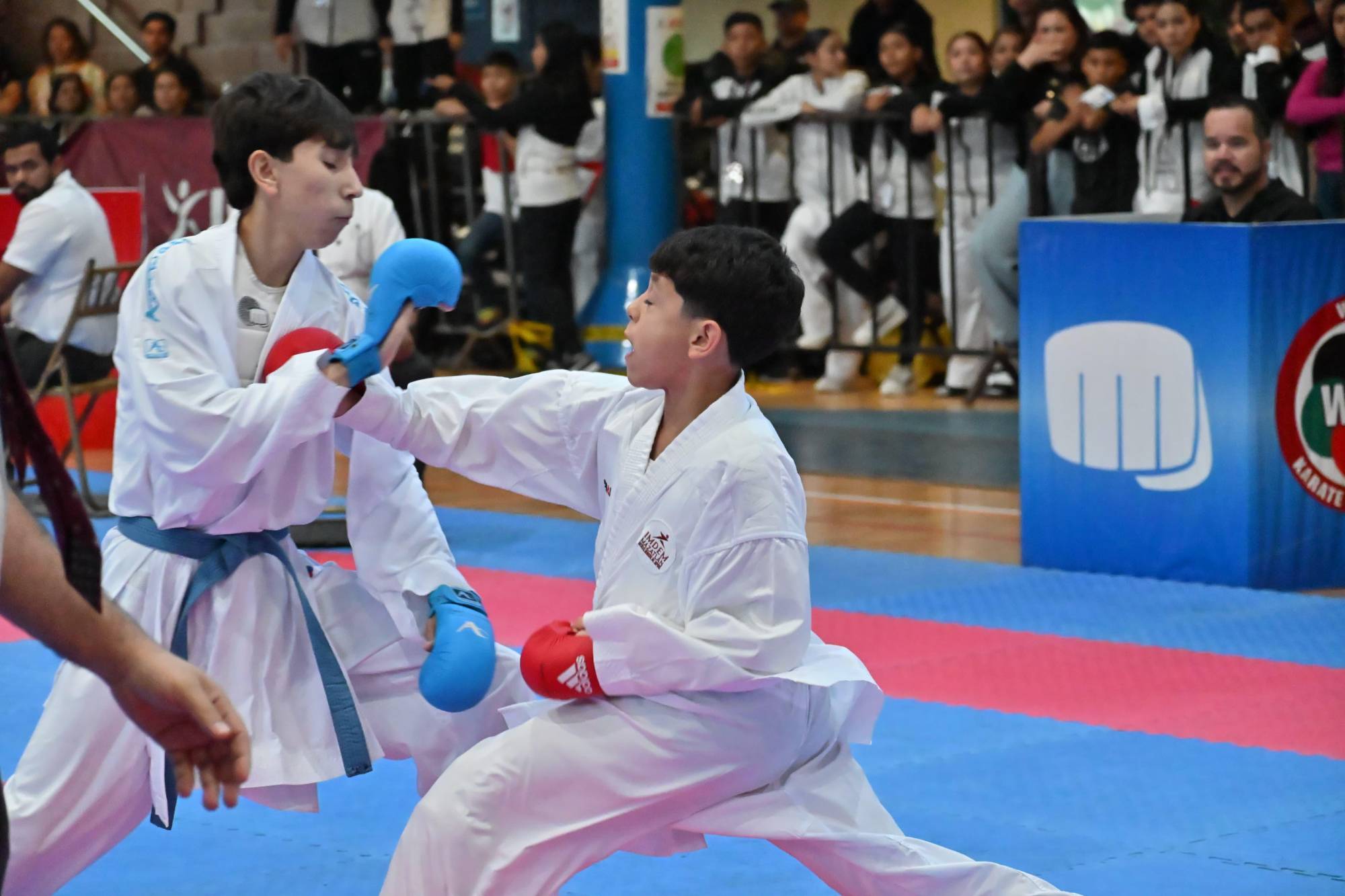 $!Se coronan siete porteños campeones estatales en karate