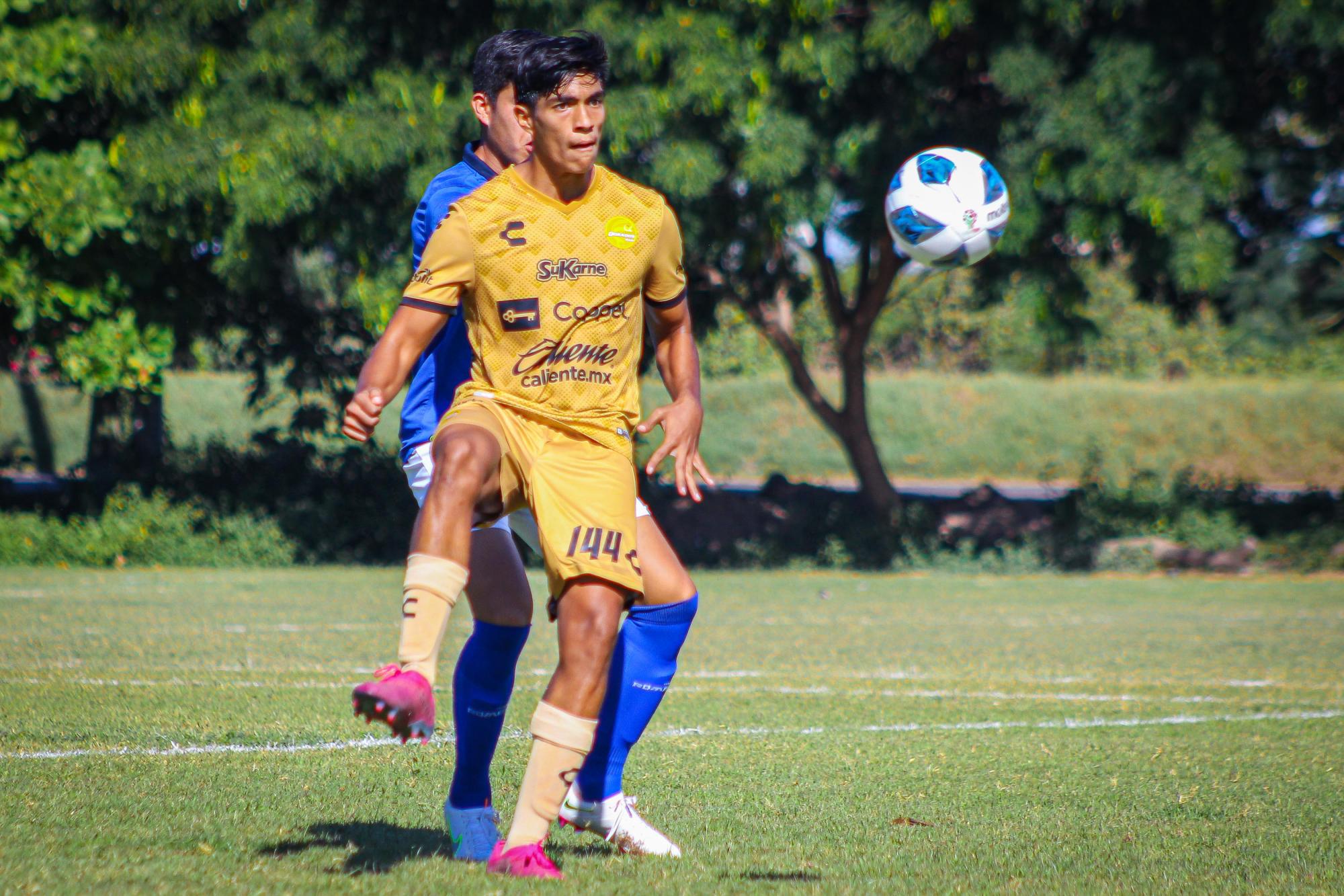 $!Dorados Tercera arrolla a Fénix CFAR en juego pendiente