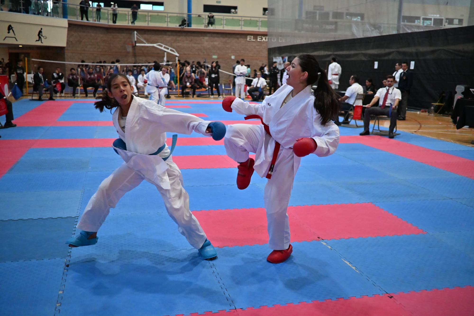 $!Se coronan siete porteños campeones estatales en karate