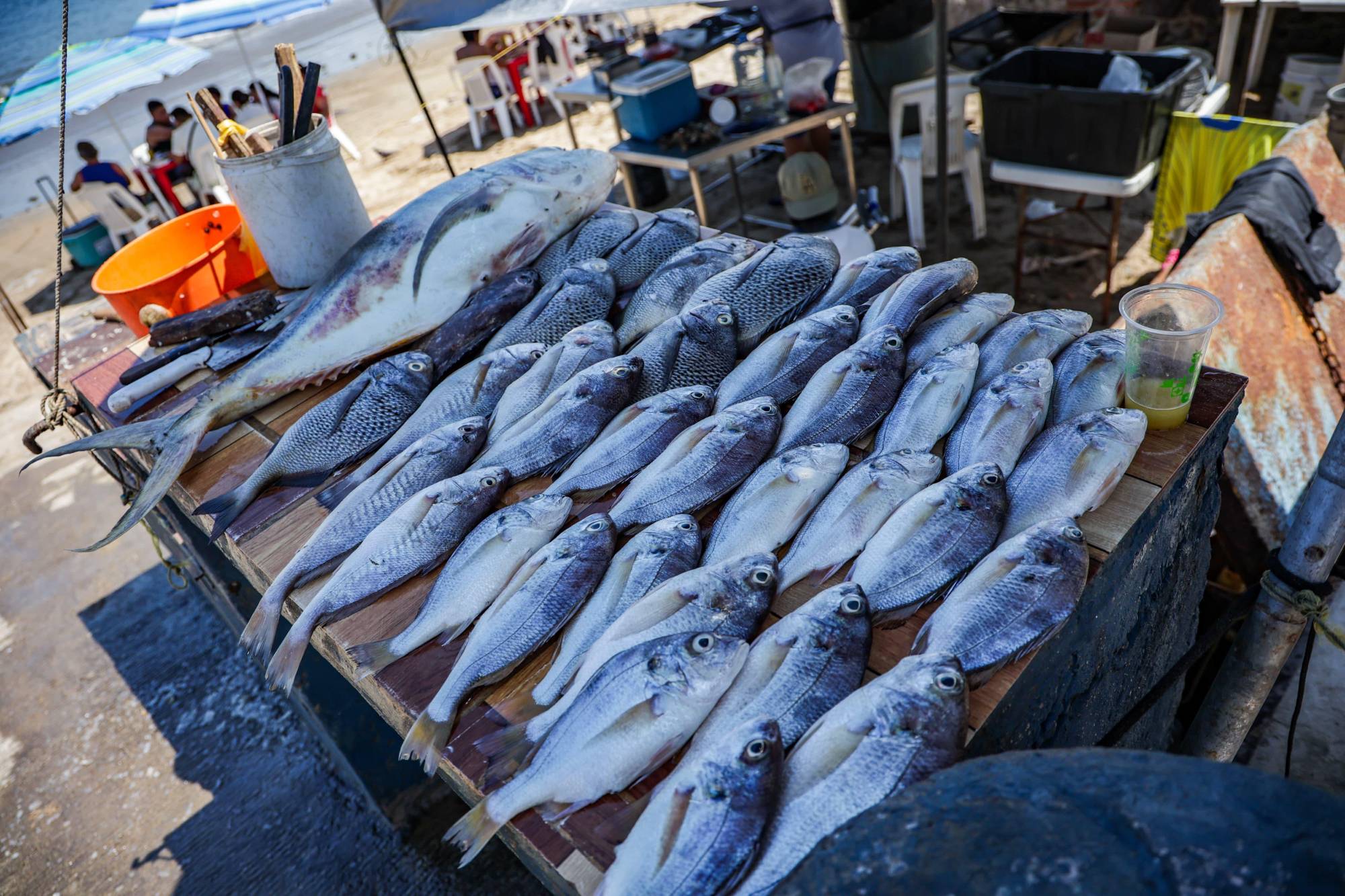 $!Ventas de pescado y marisco en Playa Norte, Mazatlán, en picada por baja afluencia turística