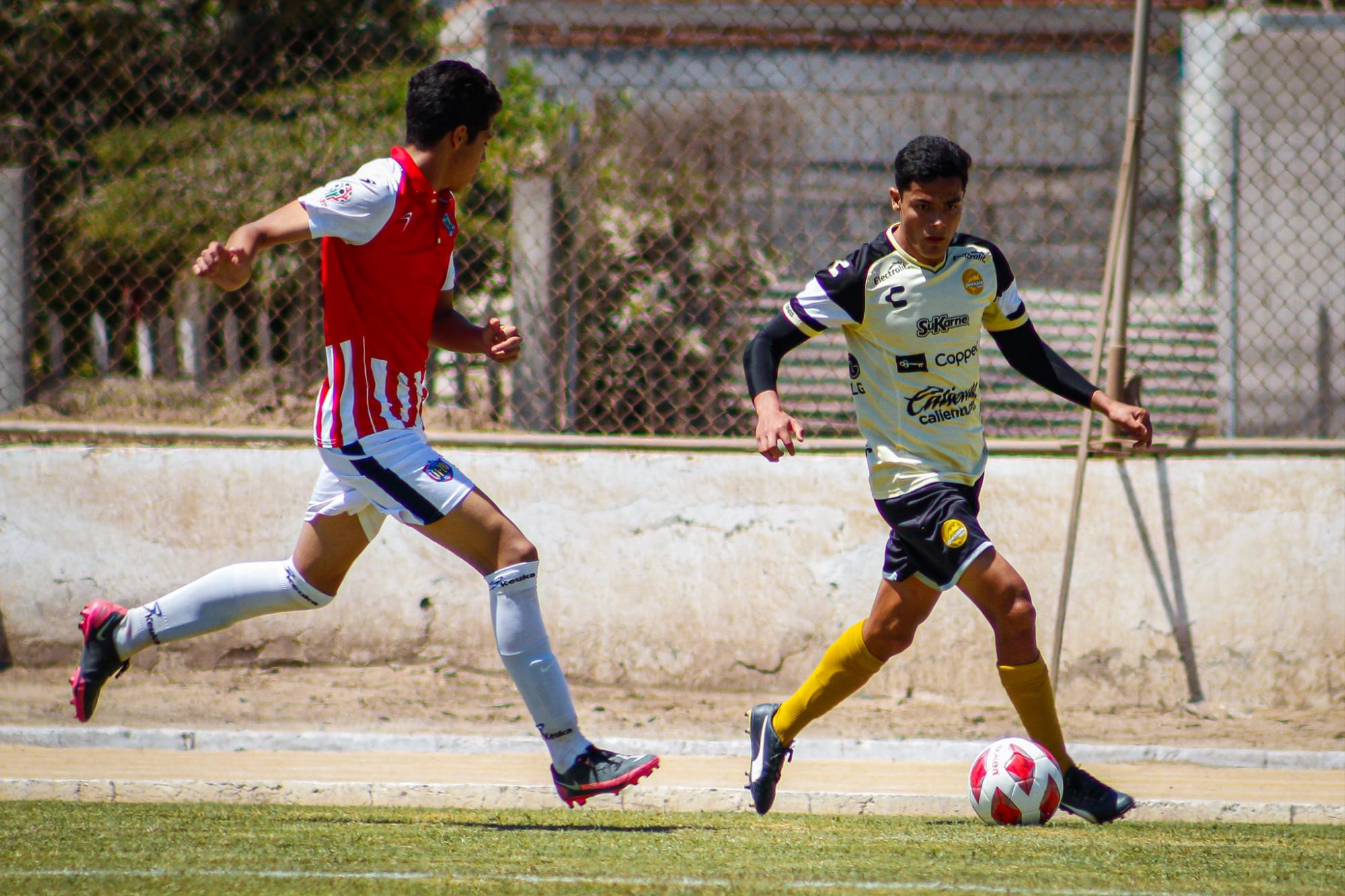 $!Dorados de Sinaloa llega a 15 partidos sin perder en la TDP