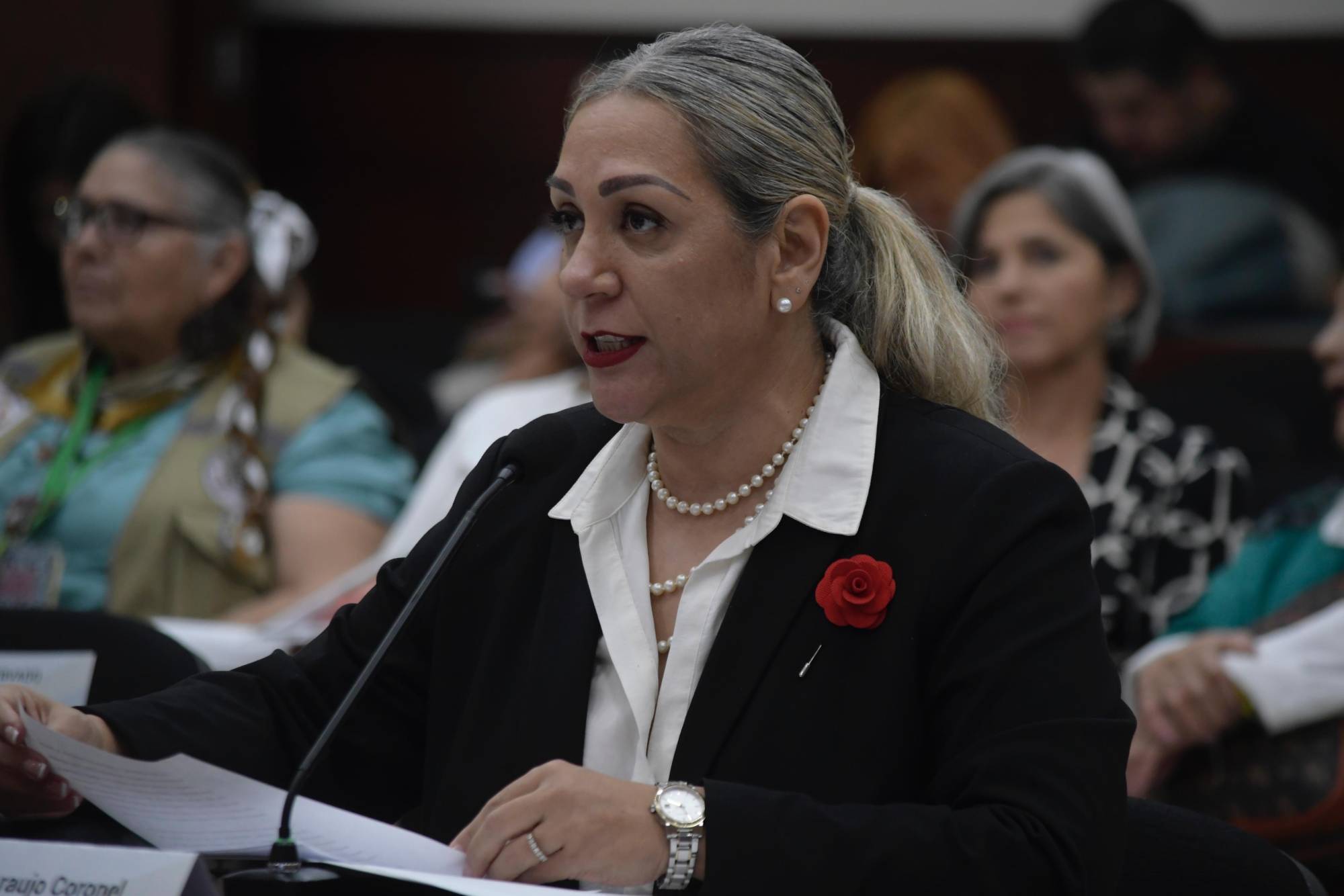 $!Comparecen primeros aspirantes a presidir la Comisión Estatal de los Derechos Humanos