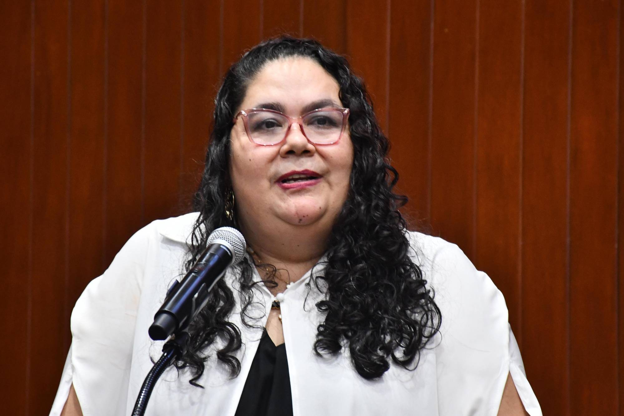 $!Hay rezago en prevención, protección y justicia para defensores de Derechos Humanos y periodistas en México, discuten en foro