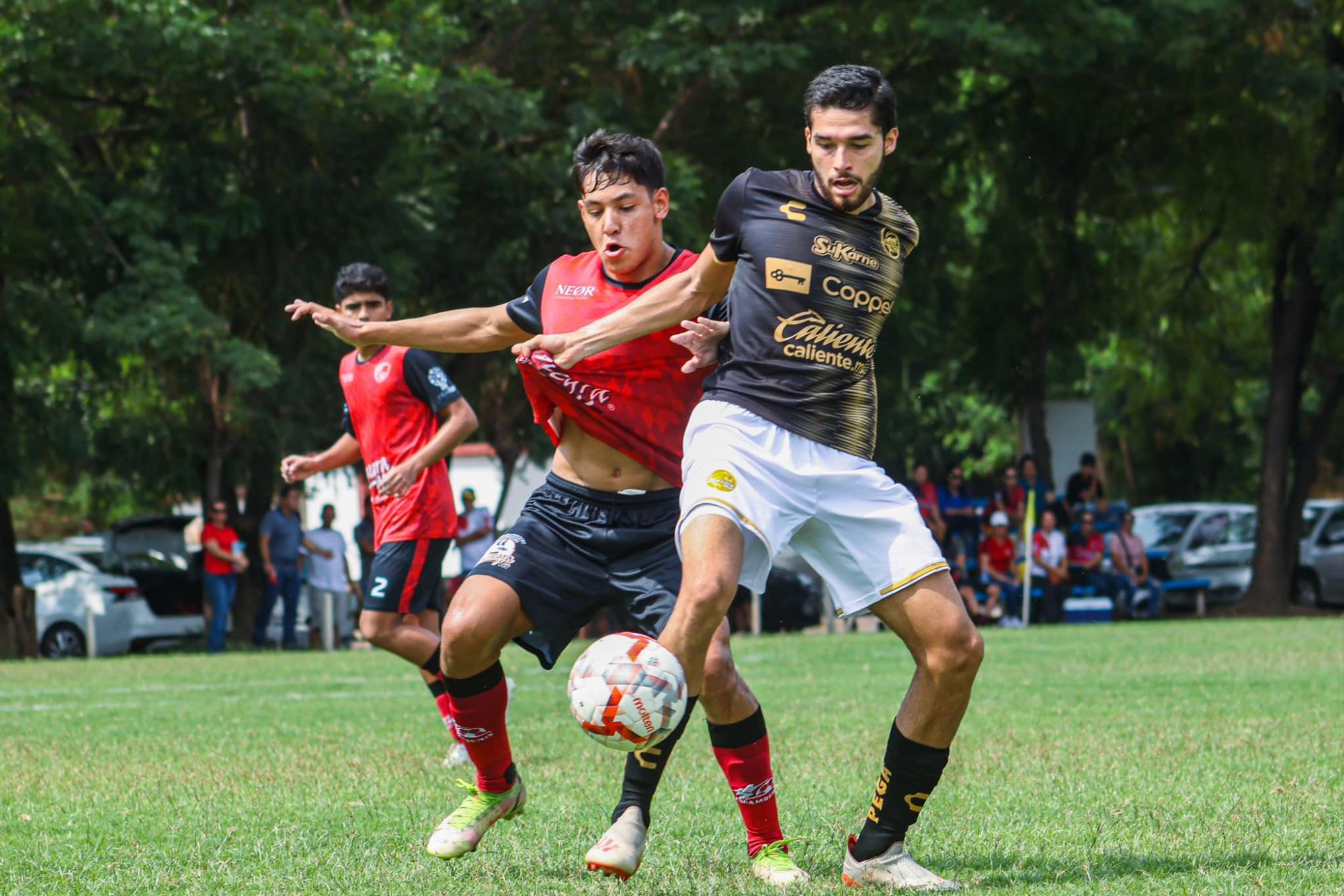 $!Dorados y FuraMochis cierran el año con buenos números en la TDP
