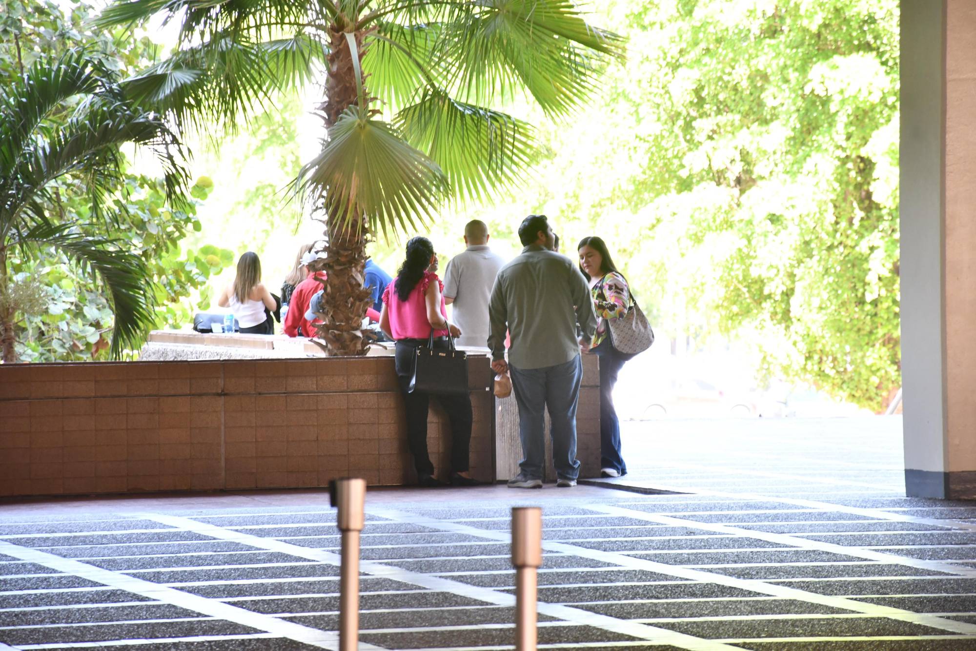 $!Agricultores hilan una semana con manifestación en Palacio de Gobierno en exigencia de pagos