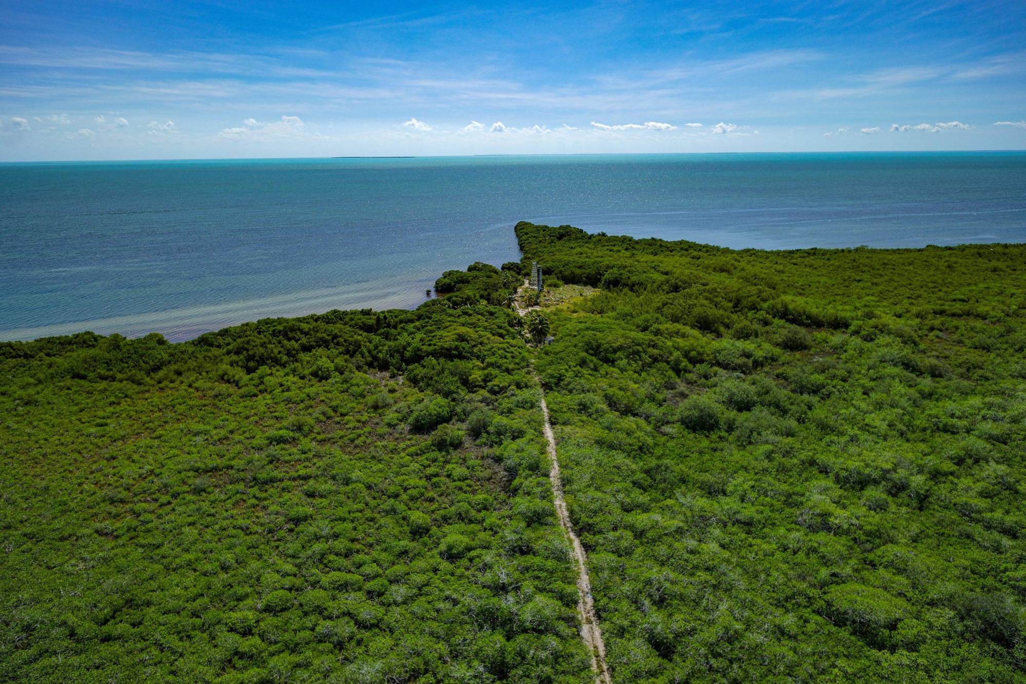$!Gobierno mexicano oculta a Unesco la construcción del proyecto del Ejército en la Reserva de la Biosfera de Sian Ka’an