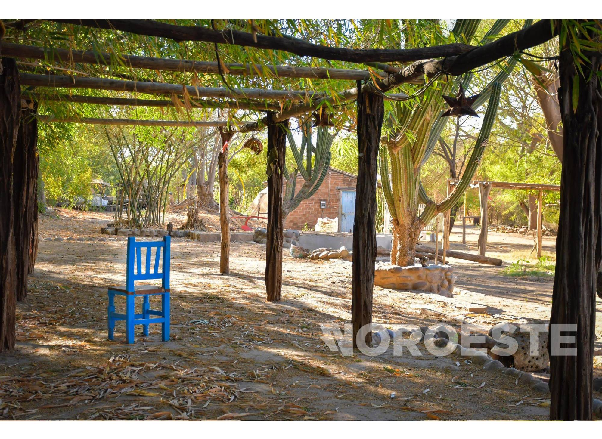 $!#FOTOS | La Chuparrosa Enamorada, un restaurante que será recordado por siempre