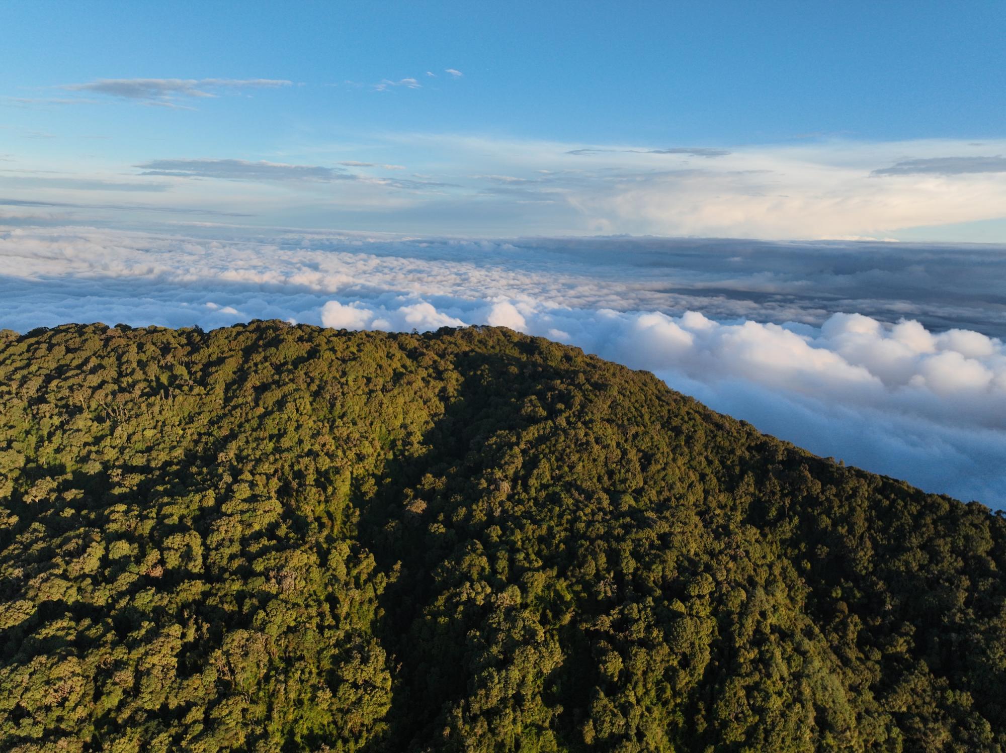 $!Paisaje del Chocó Andino, Ecuador.