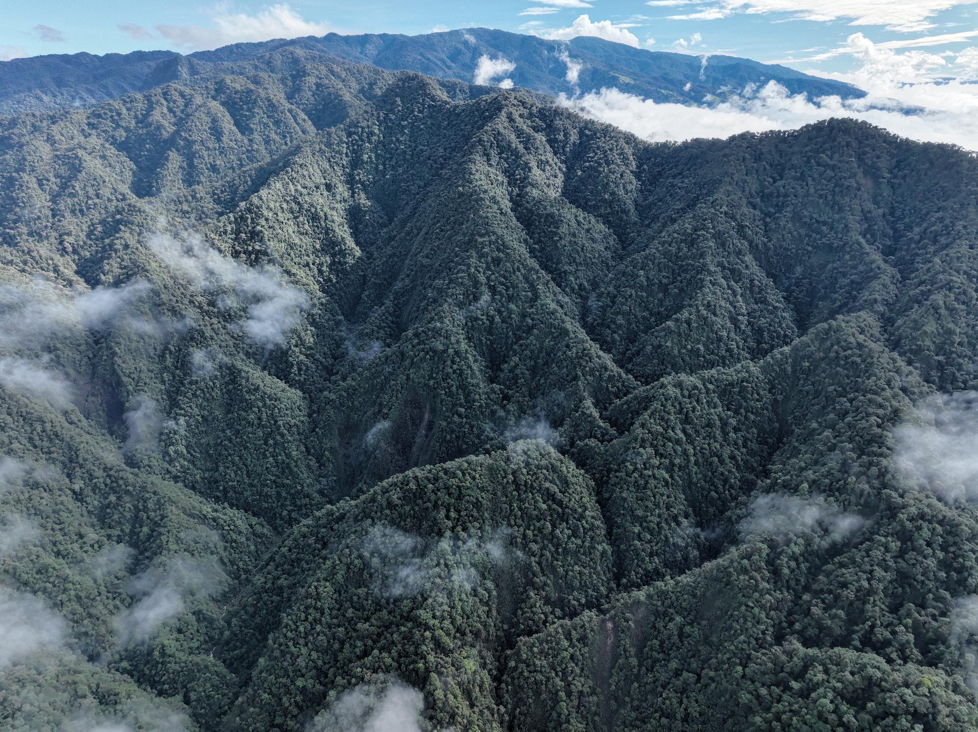 $!Paisaje del Chocó Andino, Ecuador.