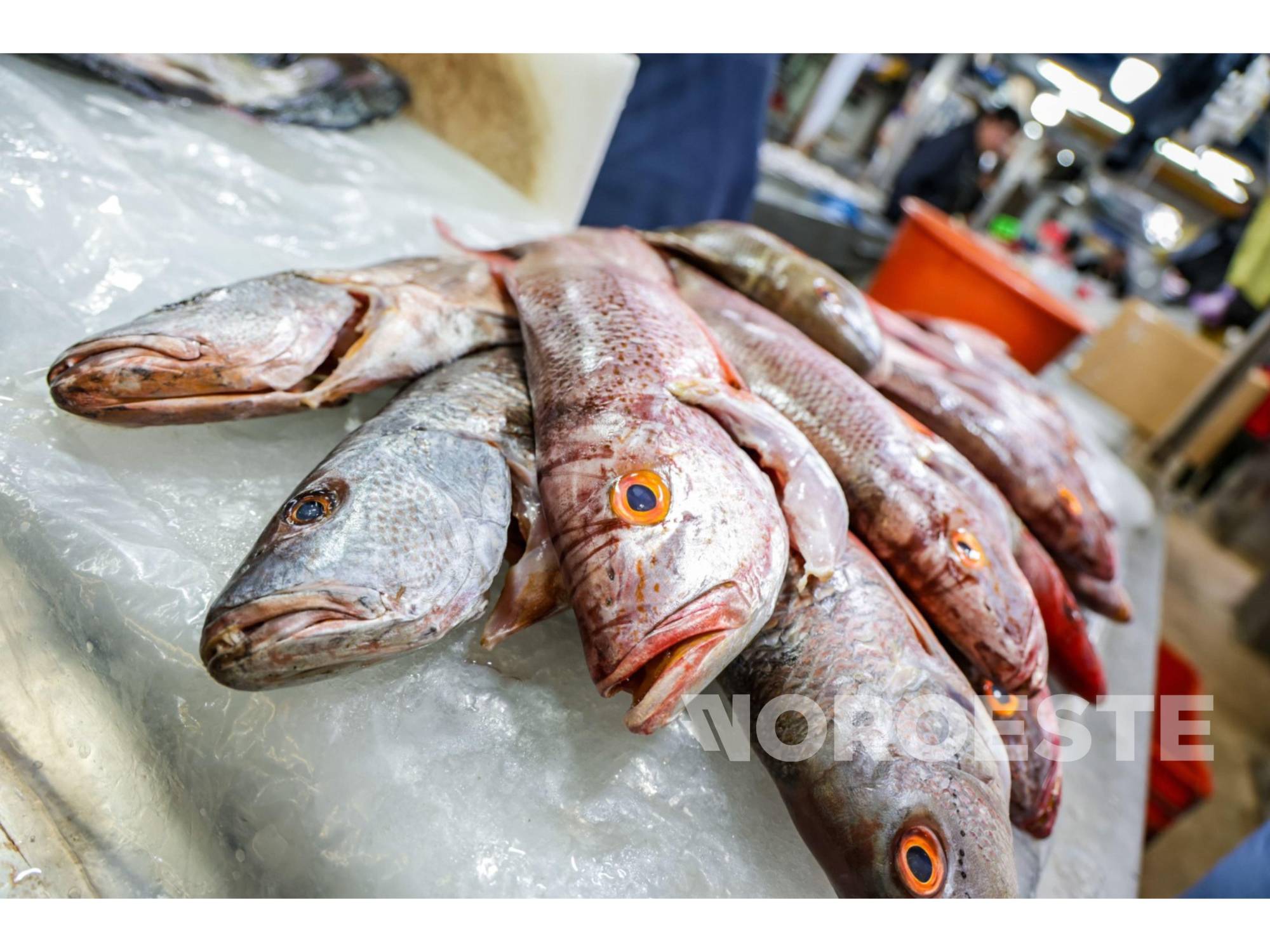 $!#FOTOS | Inicia la Cuaresma y en Culiacán sube venta de pescados y mariscos