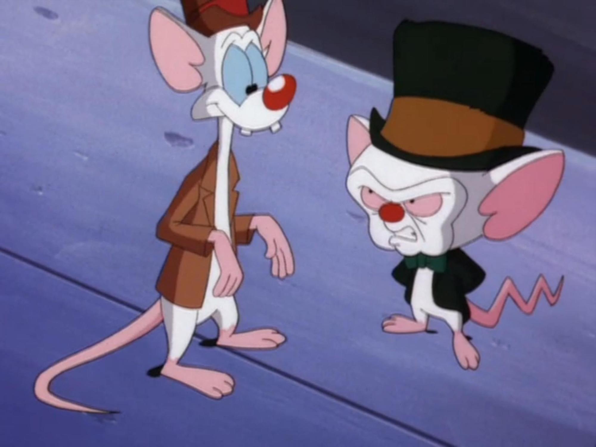 $!Pinky y Cerebro.