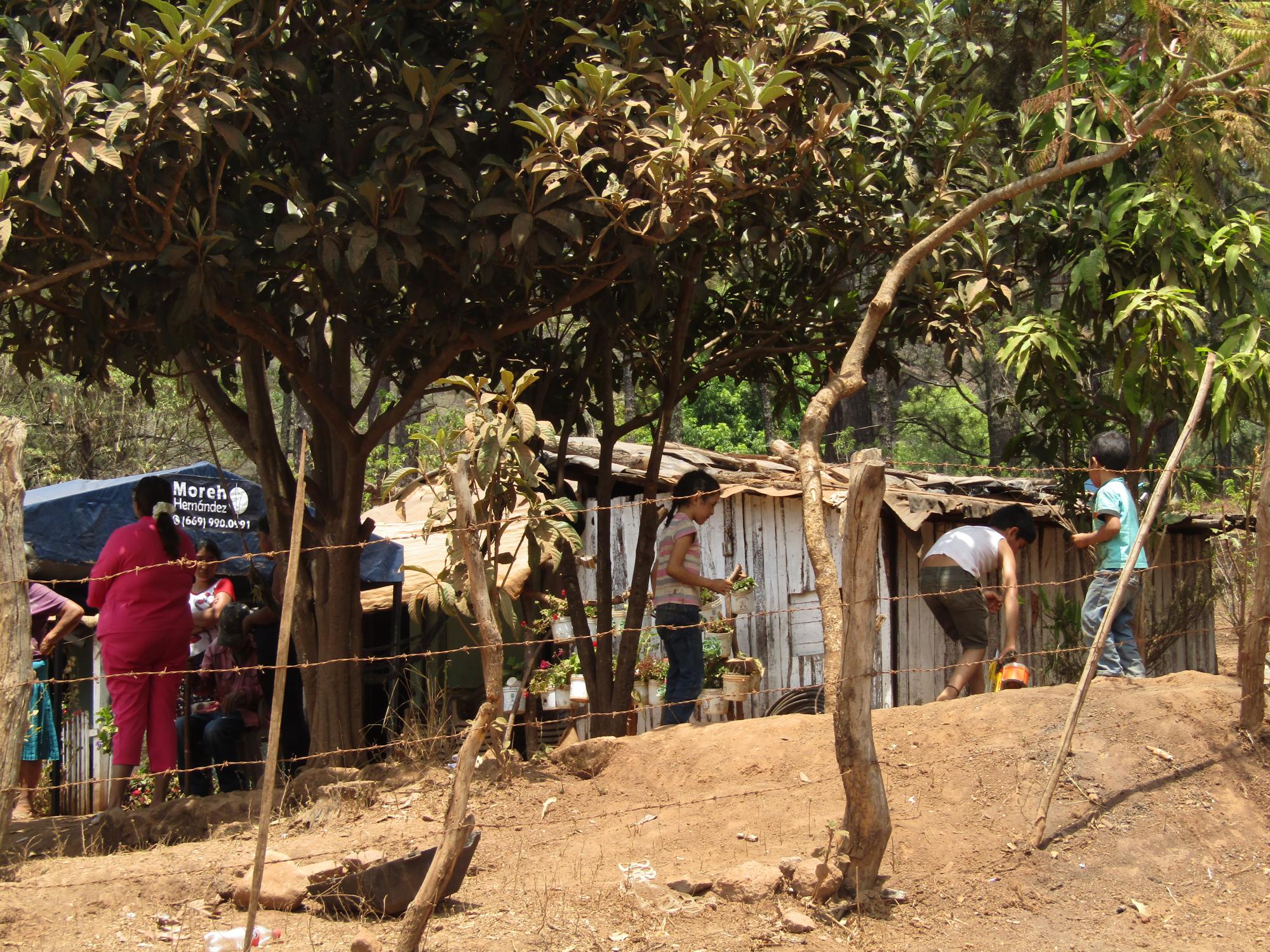$!Familias de Sinaloa desplazadas por la violencia regresan a sus hogares, en la sierra; buscan reconstruir sus vidas