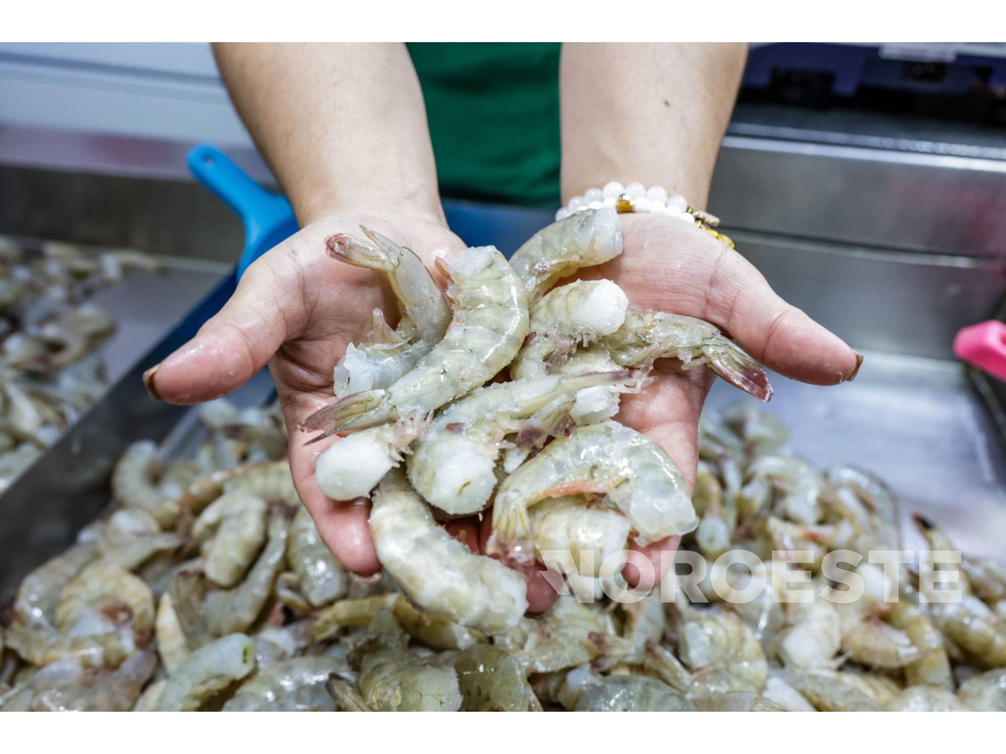 $!#FOTOS | Inicia la Cuaresma y en Culiacán sube venta de pescados y mariscos
