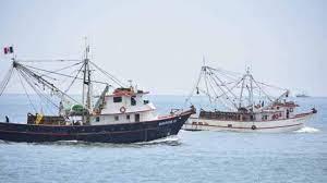 $!Confía Canainpesca en lograr la recertificación de camarón de altamar