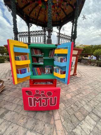 Se busca que el Bibliorefri tenga más libros.