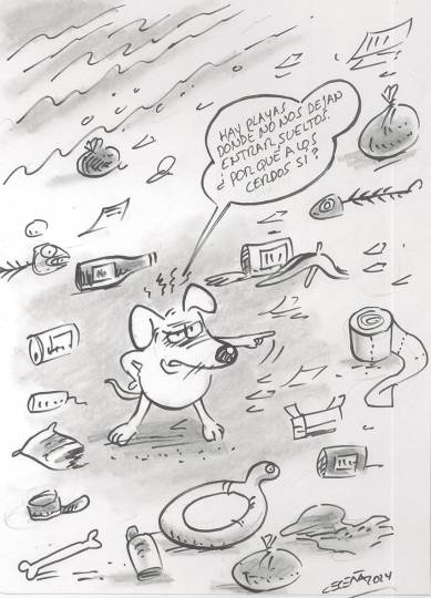 ¿Cómo dejaste tu espacio en la playa?