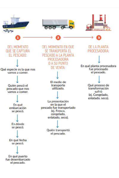 $!Sustitución de especies marinas para venda.
