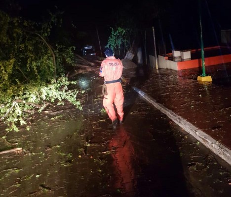 Reportan pocos estragos de Willa en El Rosario