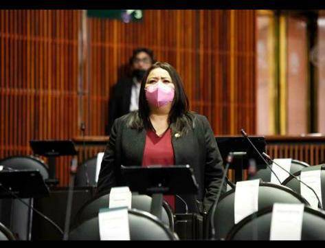 Yadira Marcos, Diputada de Morena en la 64 y 65 Legislatura de la Cámara de Diputados