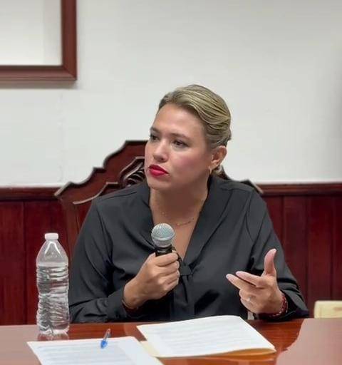Que Sheinbaum venga y enfrente la crisis de seguridad, la necesitamos comprometida: Érika Sánchez