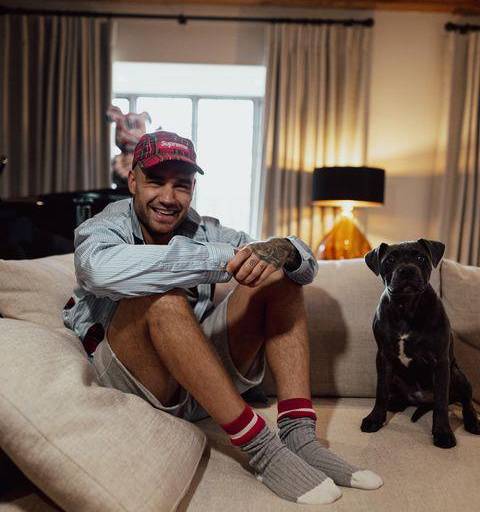 Estreno de serie en que participó Liam Payne queda en pausa