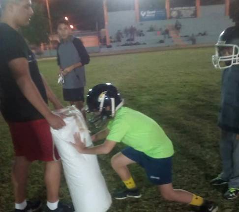 Los entrenamientos para las diferentes categorías están abiertos con Halcones de Mazatlán.
