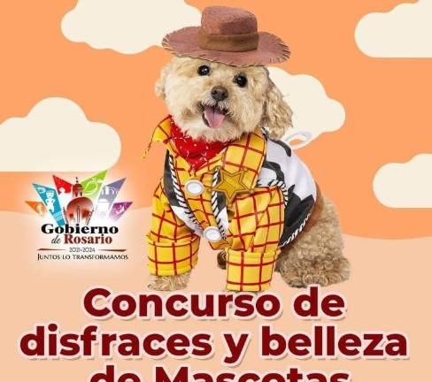 Todo lo recaudado será para apoyar a los perritos de la calle.